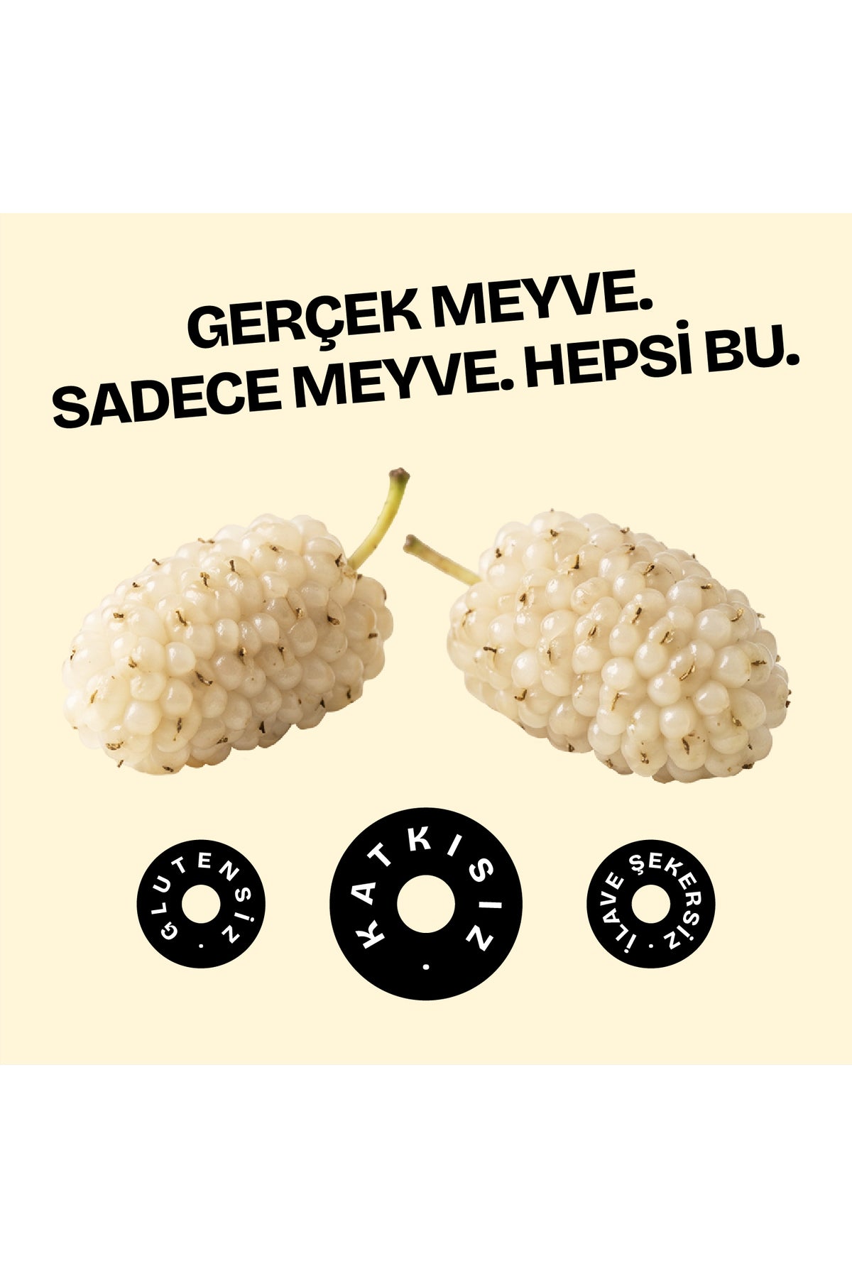 Kurutulmuş Dut 42g