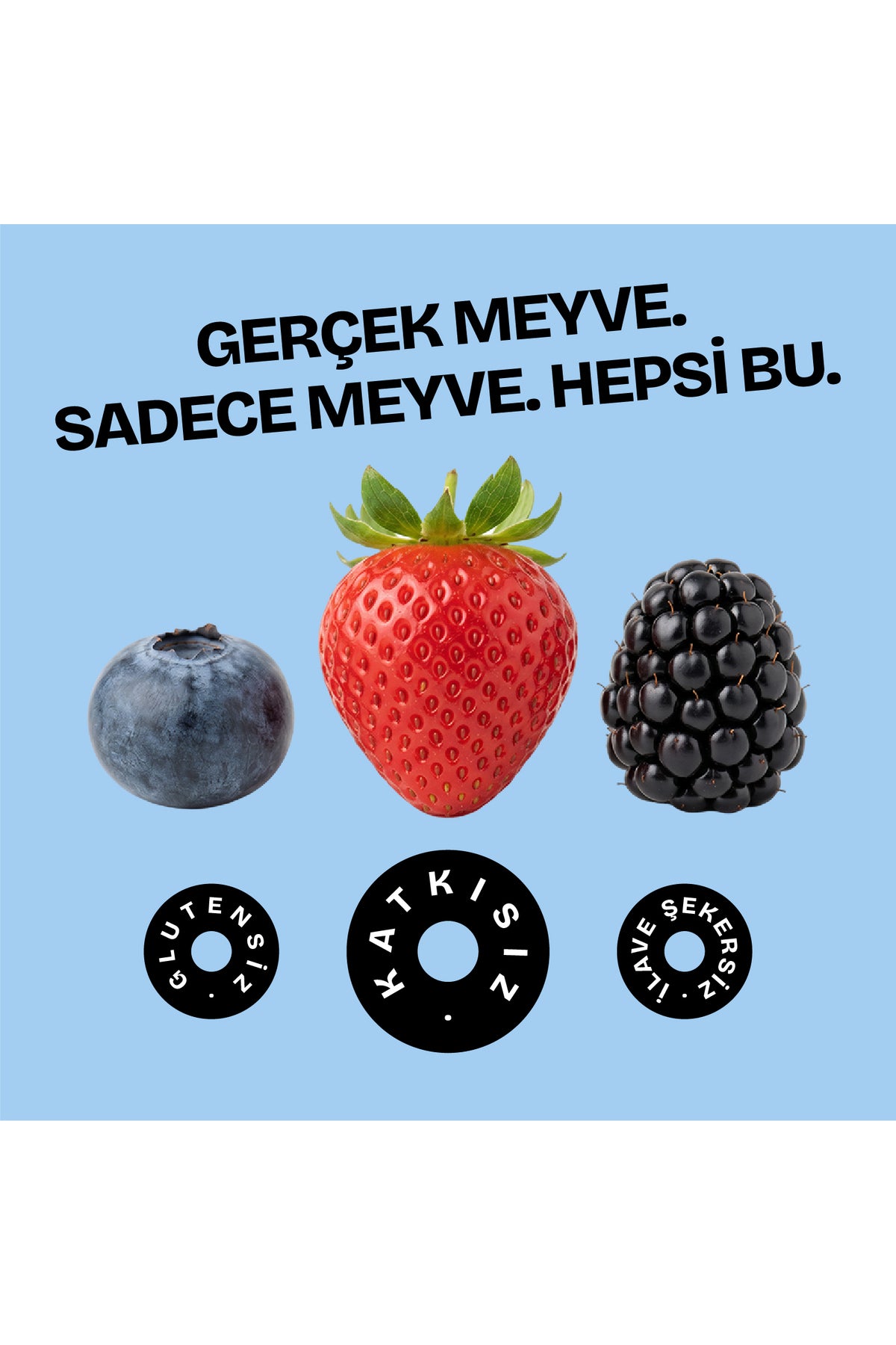 Orman Meyveleri Karışımı 16g