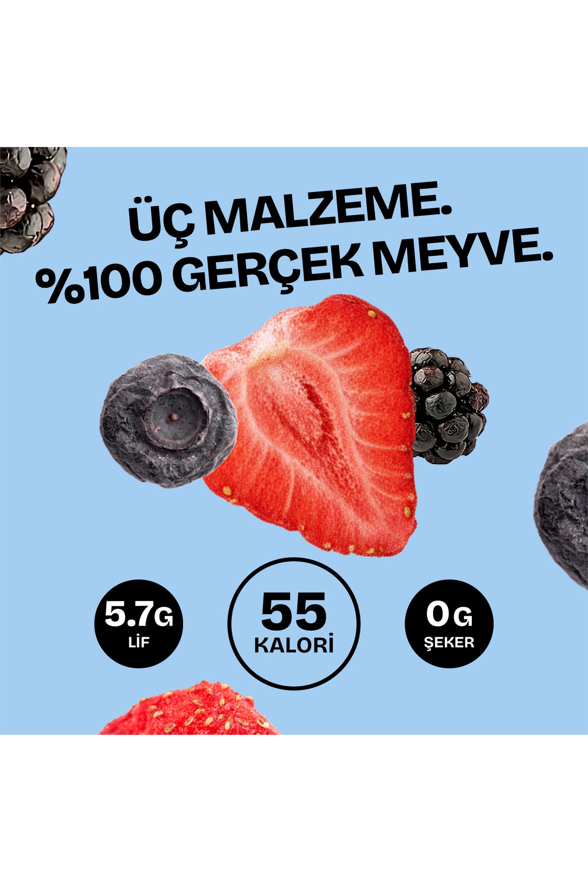 Orman Meyveleri Karışımı 16g