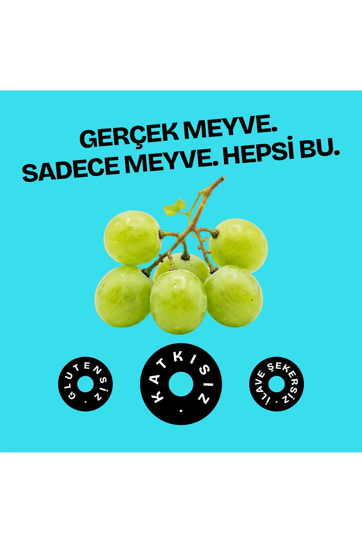 Kurutulmuş Organik Üzüm 56g
