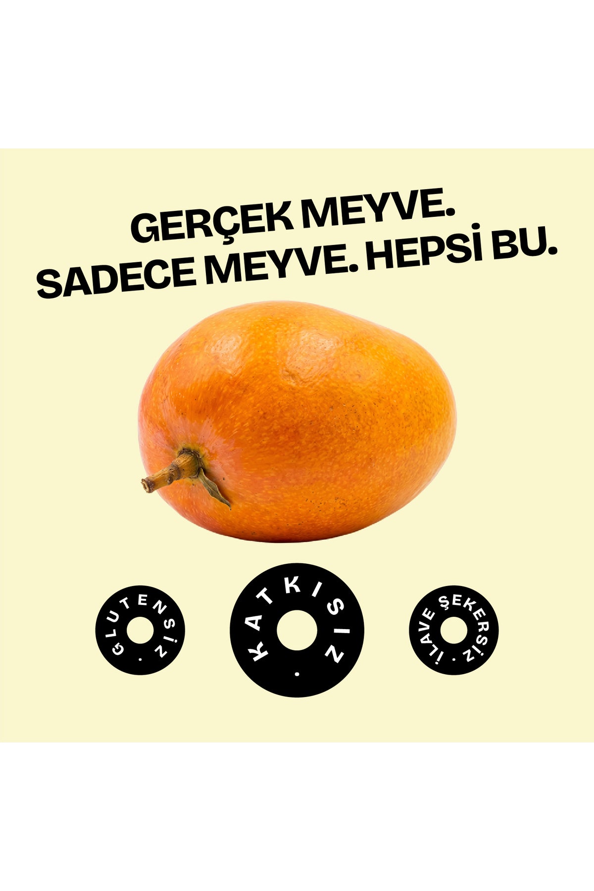Mango Dilimleri 16g
