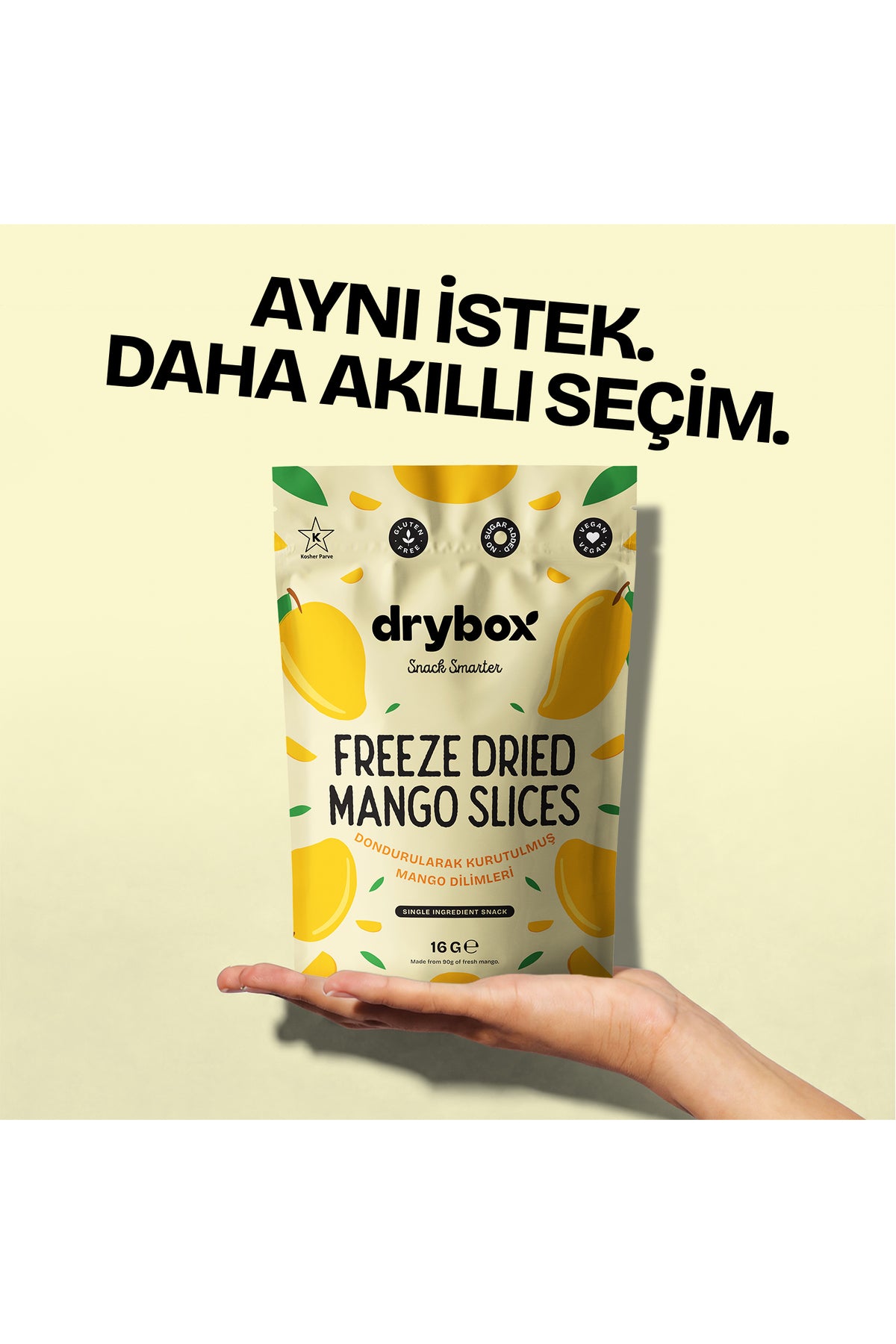 Mango Dilimleri 16g