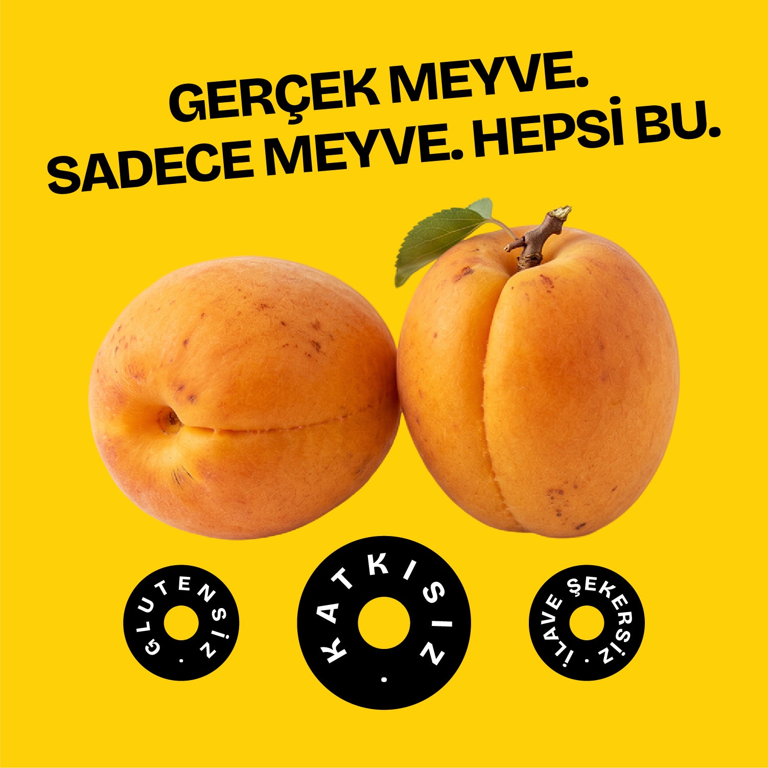 Kurutulmuş Organik Gün Kurusu 56g